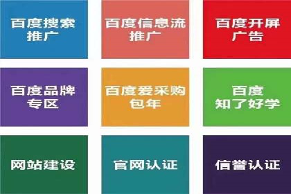 Sem优化公司案例：助力企业实现品牌曝光