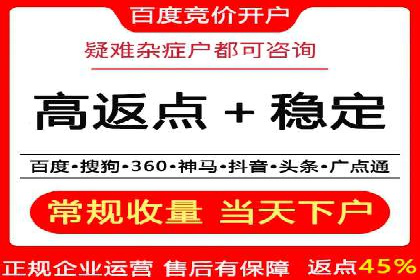 百度竞价广告与自然搜索排名的结合策略案例